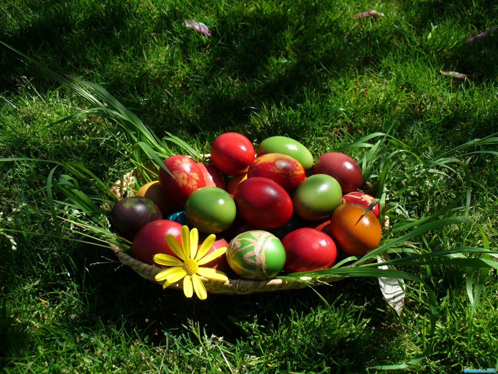 http://www.oboinka.ru/wallpapers/83df6ef98734f414df21754549d8198a/19213_5.jpg