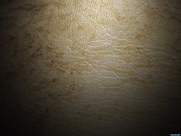 Обои для рабочего стола - Tex Wallpapers