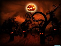 Обои для рабочего стола - Red Pack Wallpapers