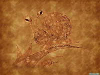 Обои для рабочего стола - Red Pack Wallpapers
