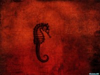 Обои для рабочего стола - Red Pack Wallpapers