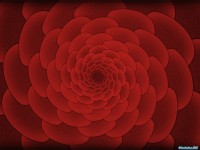 Обои для рабочего стола - Red Pack Wallpapers