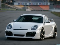     - Porsche