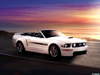     - Ford Mustang