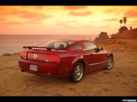     - Ford Mustang