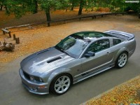     - Ford Mustang