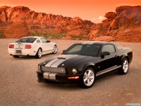     - Ford Mustang