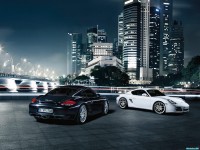     - Porsche
