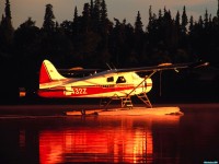    - Beaver Floatplane, Kenai Penisula, Alaska