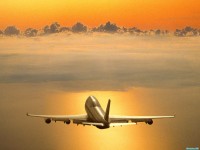     - Fantasy of Flight
