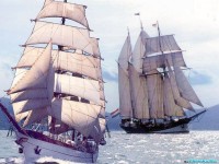     - Gorch fock oosterschelde