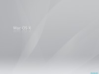     - Apple