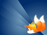     - FireFox