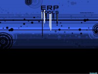    - ERP Tools