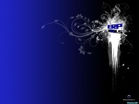     - ERP Tools