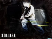     - Stalker