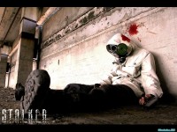     - Stalker