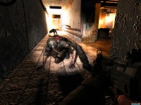     - Stalker