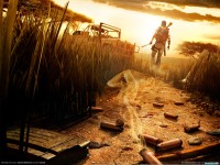     - Far Cry 2