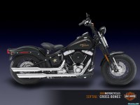     - Harley Davidson