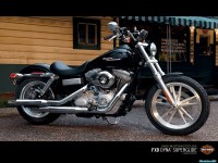     - Harley Davidson