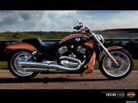     - Harley Davidson