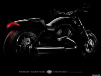     - Harley Davidson