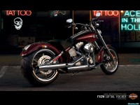     - Harley Davidson