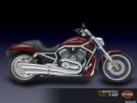     - Harley Davidson