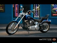     - Harley Davidson
