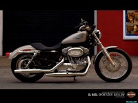     - Harley Davidson