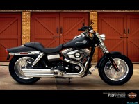     - Harley Davidson