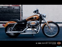     - Harley Davidson