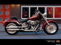     - Harley Davidson