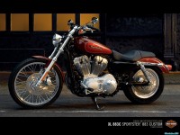     - Harley Davidson