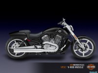     - Harley Davidson