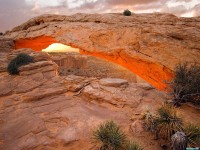     - Grand Canyon