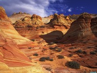     - Grand Canyon