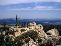     - Bighorn National Forest Wyoming