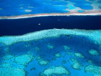     - Azure Waters, The Great Barrier Reef, Australia 