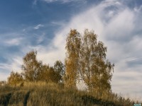     - 24061