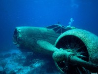     - Sunken Plane, Aruba