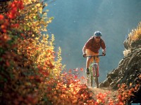    - Flying Through Fall Colors, McKenzie Bridge,  Oregon