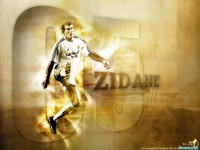     - Zidan