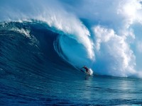     - Magnitude, Maui, Hawaii