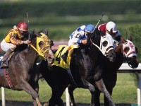     - Making a Break, Gulfstream Park, Florida