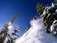     - Dropping Into Powder, Bridger Bowl, Montana