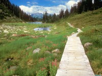 Обои для рабочего стола - Bagley Lakes Trail, Mount Baker Wilderness, Washington