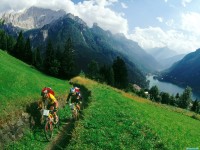     - AllegheItaly