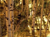    - Aspen Ride, Telluride, Colorado